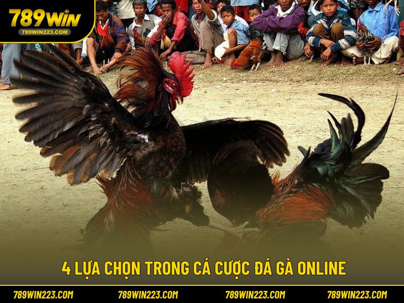 4 lựa chọn trong cá cược đá gà online