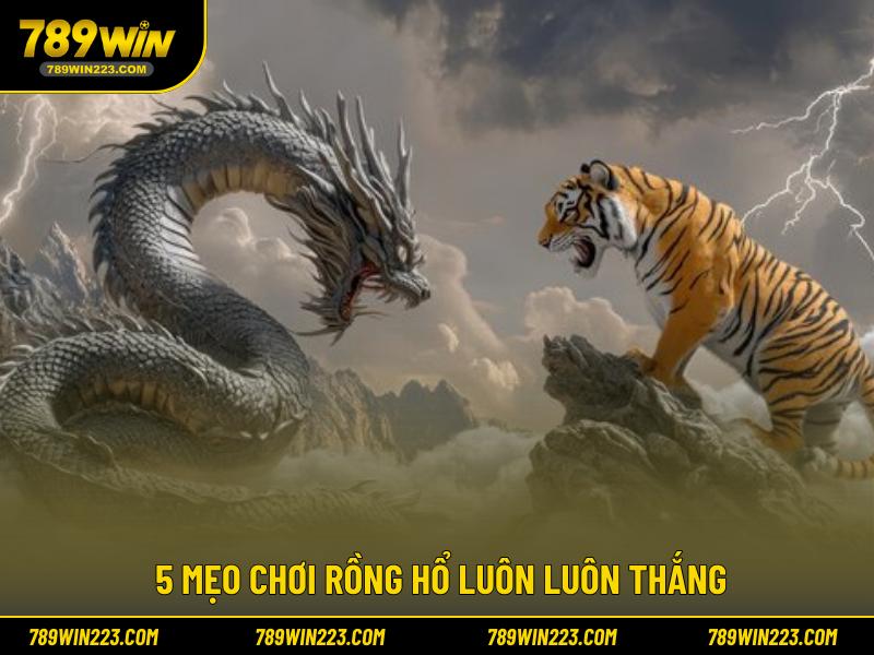 5 mẹo chơi rồng hổ luôn luôn thắng