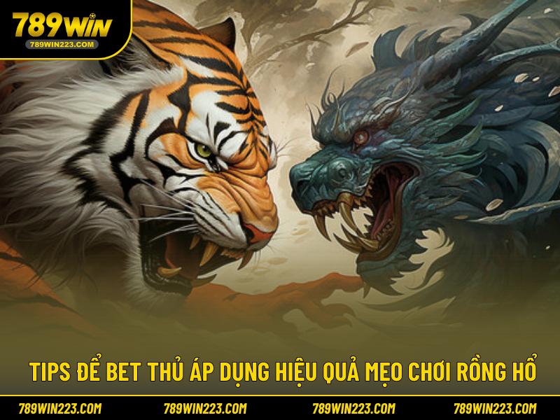 Tips để bet thủ áp dụng hiệu quả mẹo chơi rồng hổTips để bet thủ áp dụng hiệu quả mẹo chơi rồng hổ