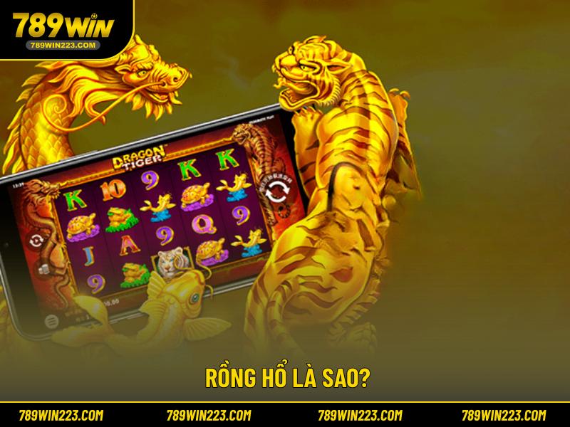 Rồng Hổ là sao?