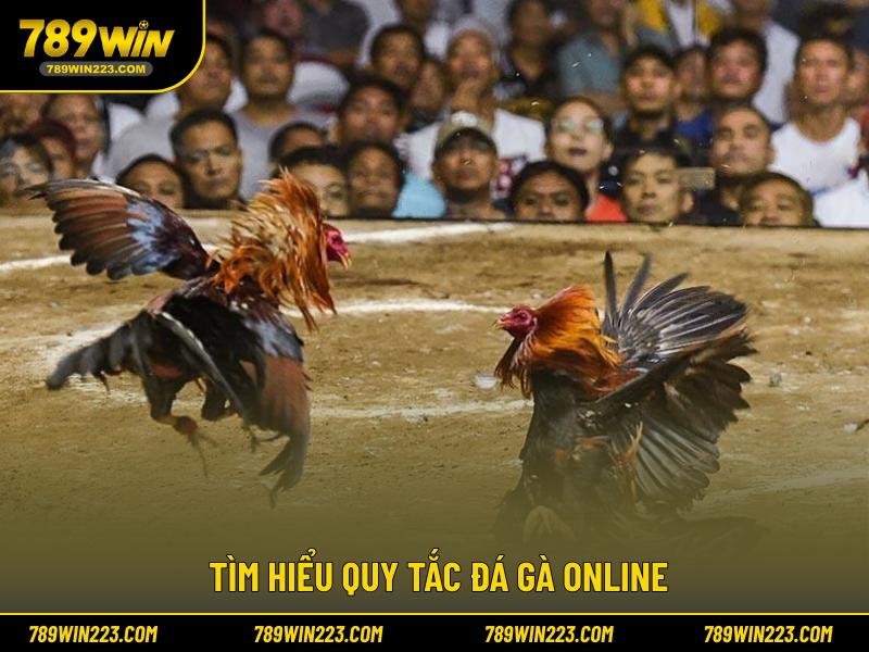 Tìm hiểu quy tắc đá gà online